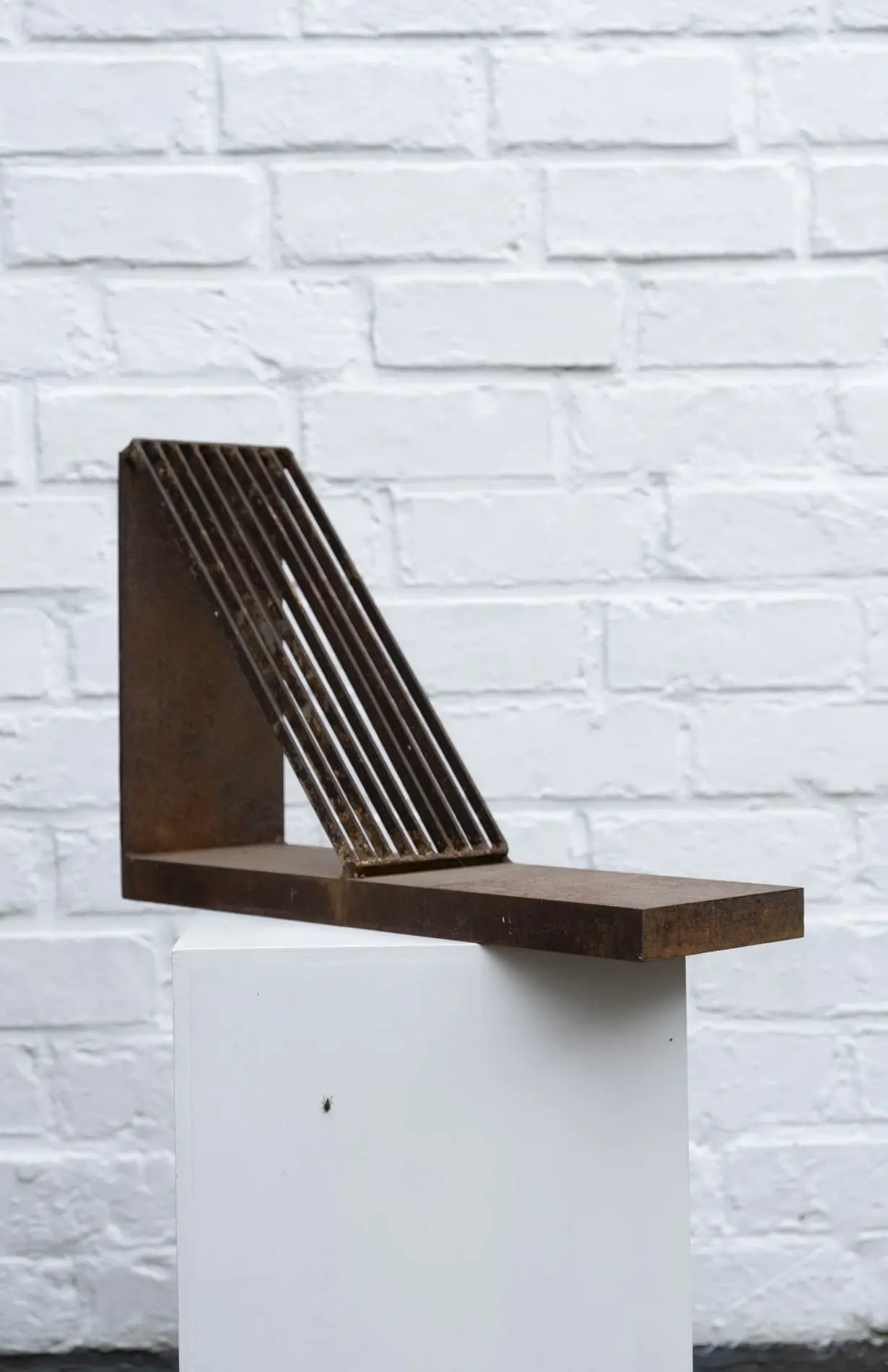 doorzichtbare steunbeer by Camiel Van Breedam