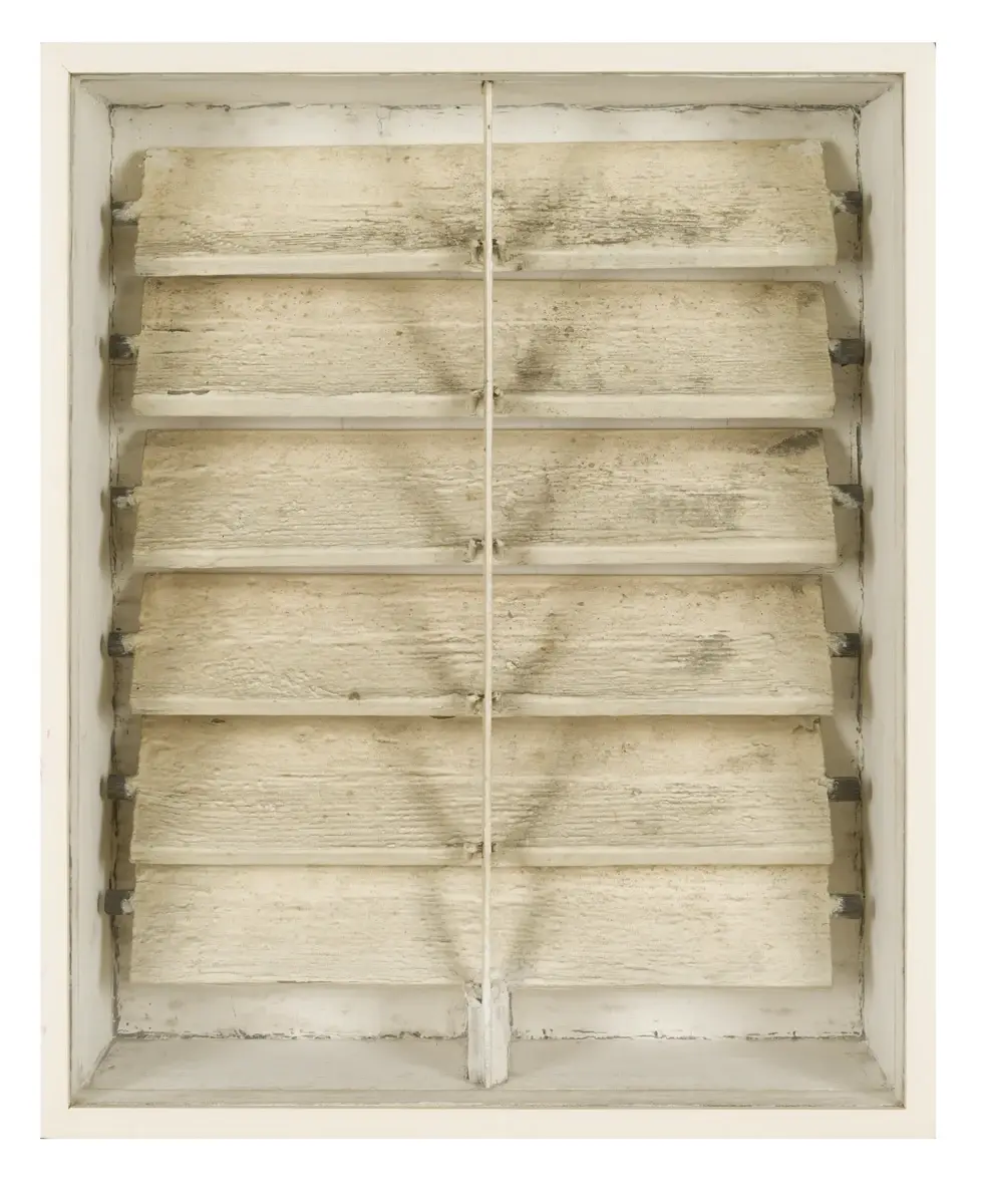 zeven streepjes licht by Camiel Van Breedam