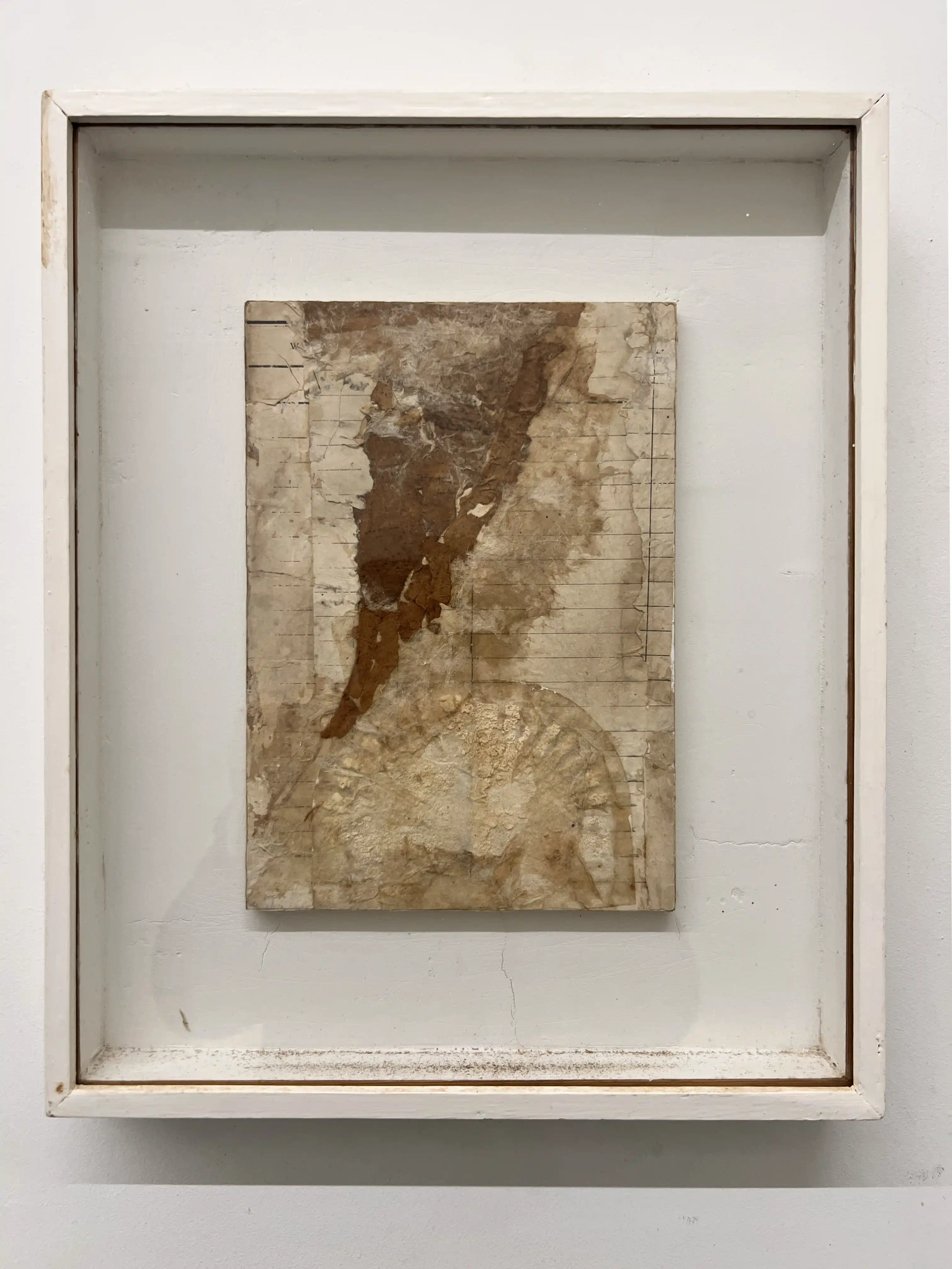 Het uiterste zuiden by Camiel Van Breedam